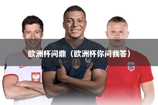 欧洲杯问鼎（欧洲杯你问我答）
