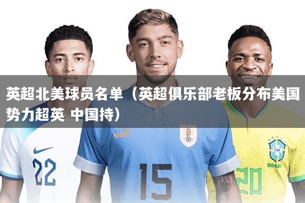 英超北美球员名单（英超俱乐部老板分布美国势力超英 中国持）