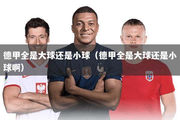 德甲全是大球还是小球（德甲全是大球还是小球啊）
