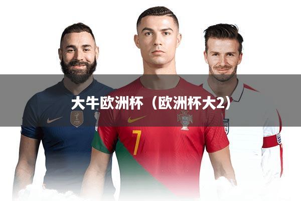 大牛欧洲杯（欧洲杯大2）